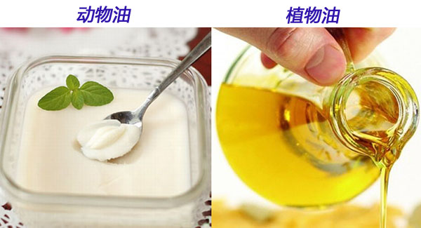 浸出油專家解析動(dòng)植物油哪個(gè)更健康(圖1) 浸出油設(shè)備