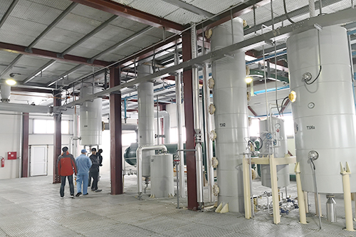 年關將至，鄭州企鵝喜迎埃塞俄比亞客戶！